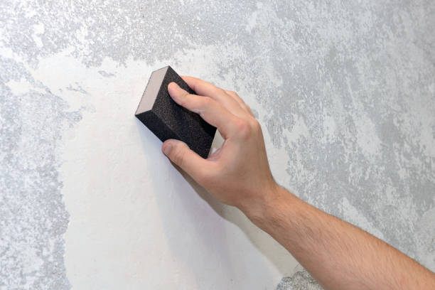 Forensic Mold Investigation in Grayson Valley, AL