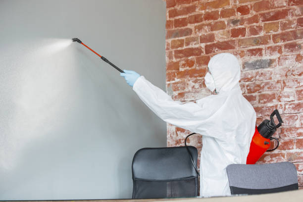 Best Forensic Mold Investigation  in Grayson Vley, AL