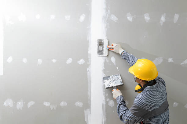 Best Mold Removal for HVAC Installations  in Grayson Vley, AL