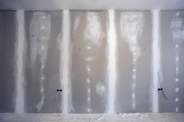 Best Water Damage & Mold Remediation  in Grayson Vley, AL