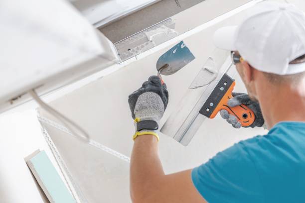 Best Mold-Related Health Consultation  in Grayson Vley, AL